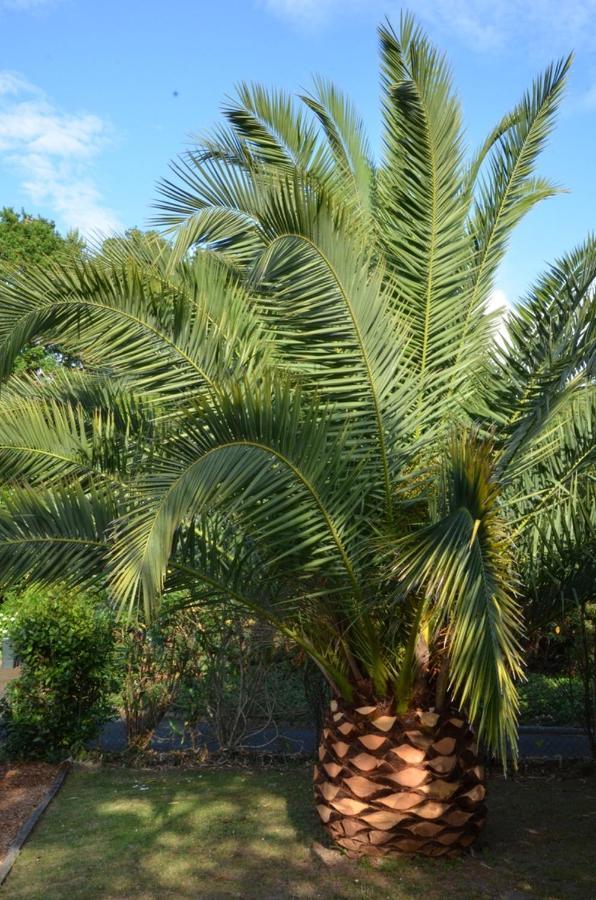 Villa Uhaina เบียริตซ์ ภายนอก รูปภาพ